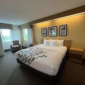 King Room Mobility accessible